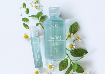 【AVEDA 肯夢】 AVEDA - 呼吸一抹沁涼純香「藍色紓壓純香菁」3/31 全新升級 暢快上市