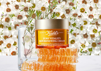 KIEHL'S 契爾氏 - 最強【蜂蜜發光霜】重磅升級 現壓99.6%新鮮紐西蘭麥蘆卡蜂蜜+韓國紅蔘根 替肌膚注入滿滿天然修護力 保濕透亮立即發光