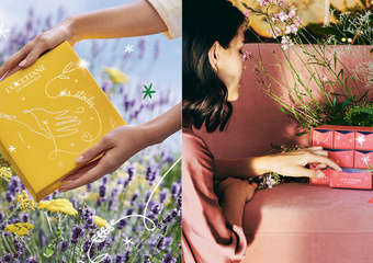 【L'OCCITANE 歐舒丹】 節慶嘉年華限量系列  一起倒數迎接節慶的到來吧！聖誕前天天都有驚喜！