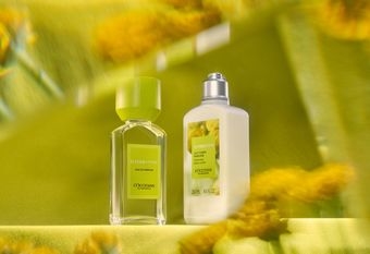 【L'OCCITANE 歐舒丹】 