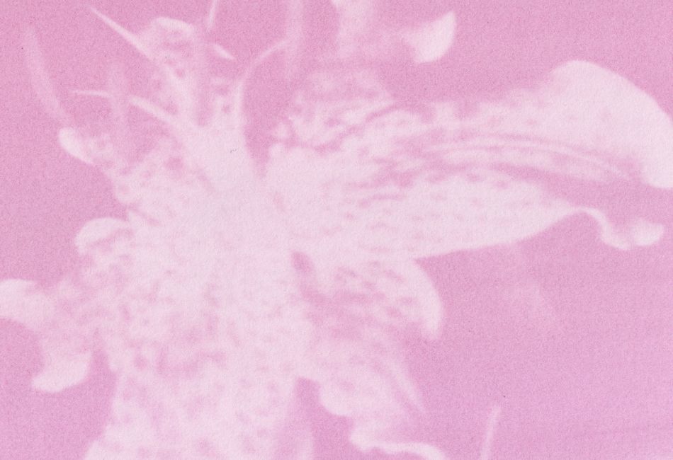 李禹煥阿爾勒中心LEE UFAN ARLES 與法國嬌蘭 藝術與環境獎Art & Environment Prize 2025