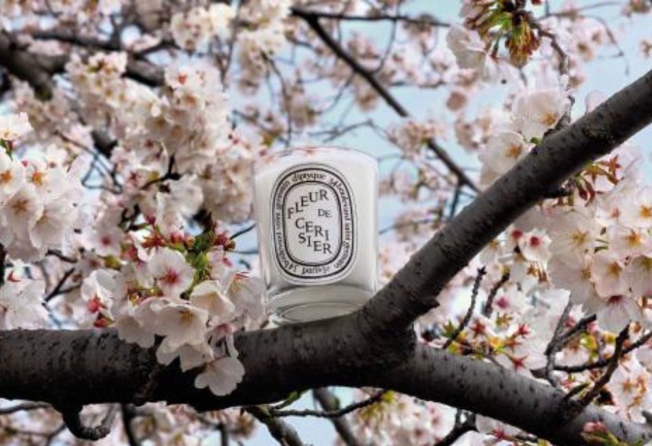季節限定版櫻花香氛蠟燭與陶瓷燭蓋，融合果香花韻與法式工藝，詮釋春天的詩意與浪漫。即日起，全球同步上市