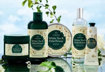 【The Body Shop 美體小舖】 鑫傳國際以媒體生態系驅動品牌成長 The Body Shop 50周年迎來全面復甦
