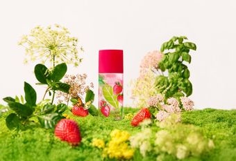 【Elizabeth Arden 伊麗莎白雅頓】 綠茶草莓羅勒香水  微甜草莓與草本羅勒的完美碰撞