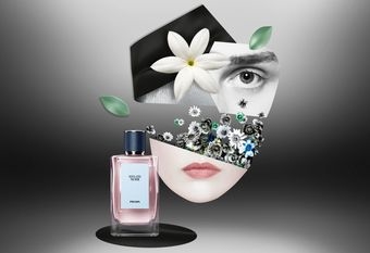 【PRADA Beauty】 嗅覺珍藏系列 顛覆藝術美學 11款香氛 演繹置身嗅覺意象美術館