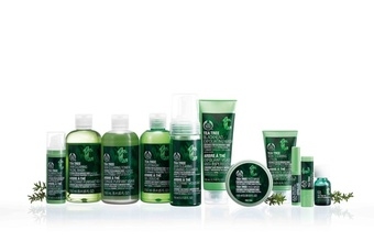 【The Body Shop 美體小舖】 [新品] THE BODY SHOP茶樹淨荳系列全新上市  無痕淨荳 「淨油」、「淨荳」、「淨化」一次完成