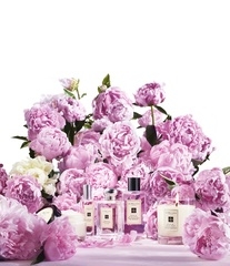 【JO MALONE】 [新品] Jo Malone London 牡丹與胭紅麂絨。嫵媚魅惑的精隨