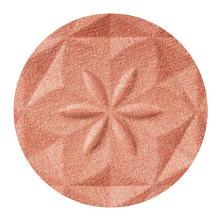 膨脹色網友推薦排行榜第7名 - 07 NudieCoral