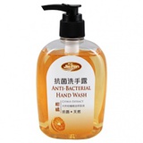 抗菌洗手露(柑橘) Anti-Bacterial Hand Wash-Citrus