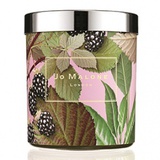 黑莓子與月桂葉家居蠟燭 Blackberry & Bay Home Candle