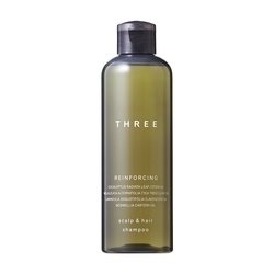 極致豐盈洗髮露R SCALP & HAIR REINFORCING SHAMPOO