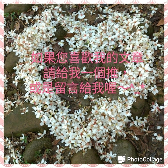 我都心得感謝您的閱讀