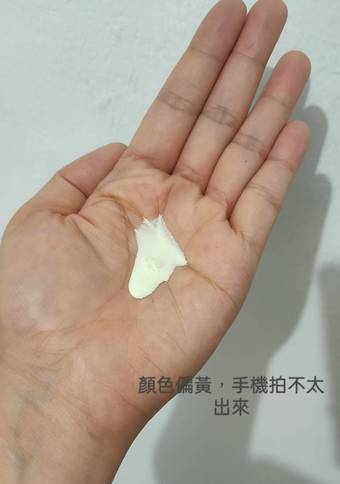 瑩光黃色有點像便當裡的咖哩