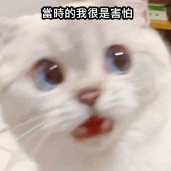 實體已經被我丟惹 實體已經被我丟惹