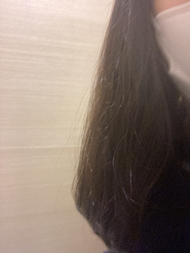 時髮況染燙受損髮易毛燥打結