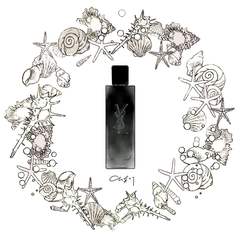 炎竹 - YSL 聖羅蘭 MYSLF男性淡香精 使用心得圖片