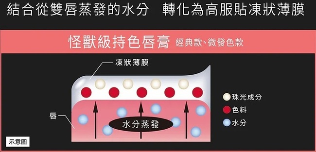 妝效下圖截自KATE官方 妝效下圖截自KATE官方