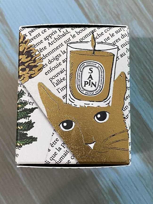 img今年又拿到冷杉了