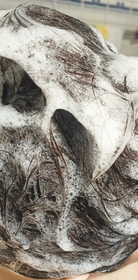 SumireYang - basiik 結構式蓬鬆柔韌洗髮精 使用心得圖片