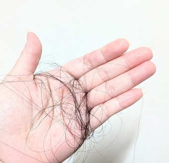 頭的掉髮馬上把打結髮都順開