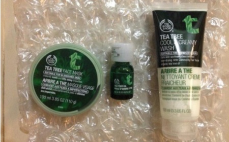 uull - The Body Shop 美體小舖 茶樹淨膚酷涼保濕淨化洗面乳 使用心得圖片