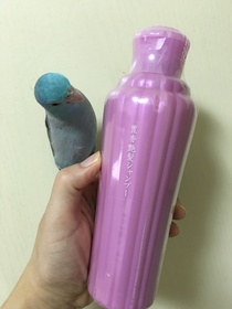 775x280 20160828191942