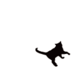 110x110 cat