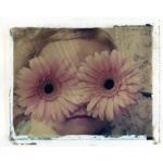  150x150 104907 2419d21393f760fb