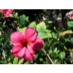  150x150 112945 b08182687b0f1f79