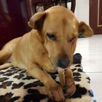  150x150 13081 af508ad4c011fae4