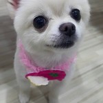  150x150 16646 97981eb1a7d34f20