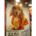  150x150 197484 440321eaf0abf6aa