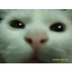  150x150 227538 7ead2db880e76d7a