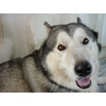  150x150 240109 5f3df994829e890d