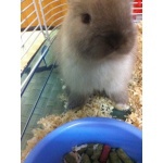  150x150 245560 d384679dc343d7f8