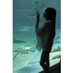  150x150 253800 e08439add616ee24