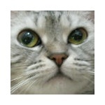  150x150 271639 ab54c0875b0b58d1