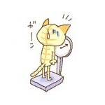  150x150 274079 41d053a57aa97986