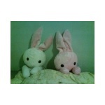  150x150 27731 15fee6f57e5b5ae2