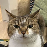  150x150 278307 9b83d5de6e406686