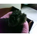  150x150 278783 435aa2b8b4139216