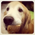  150x150 287135 28afaecea5c45f65