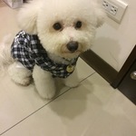  150x150 298660 f028983859d36952