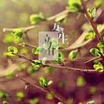  150x150 305212 5b3ea4d8016a5551