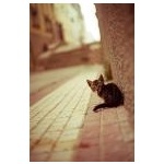  150x150 307514 1f3997cf04596f3e