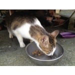  150x150 330889 cdb54018c732ab01