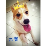  150x150 348996 ef39015c7b8e9ade