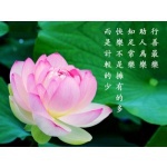  150x150 363874 ba06715033b6561b