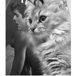  150x150 376752 b85aad6d06ee5c71