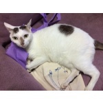  150x150 401670 f4fc0c536bb33f70